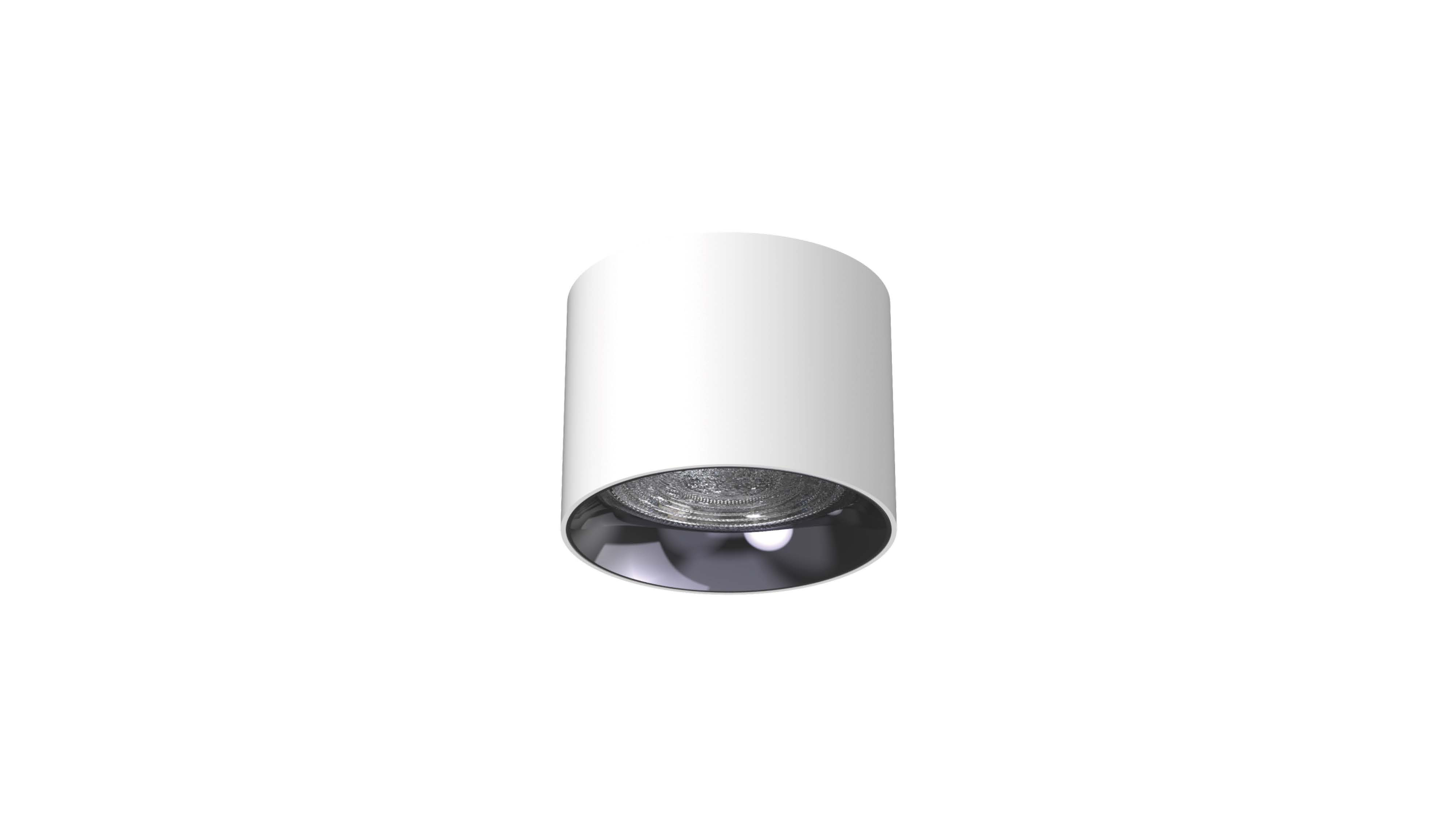 Surface-Mounted Downlight